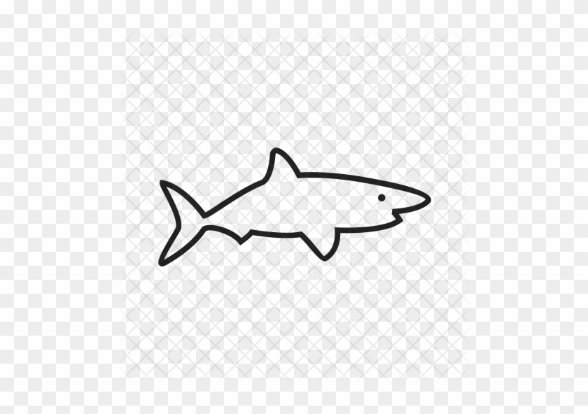 Shark Icon - Shark #1007352