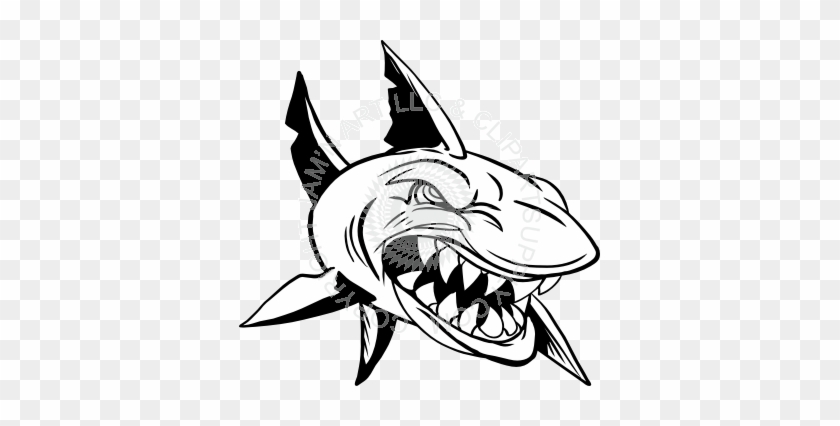 Draw A Mascot Shark #1007354