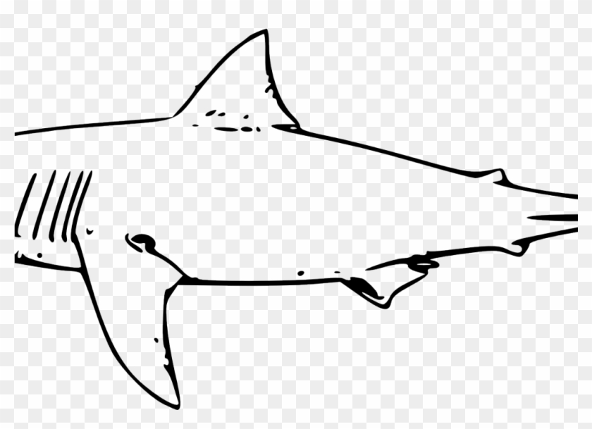 Line Drawing Of A Shark #1007371