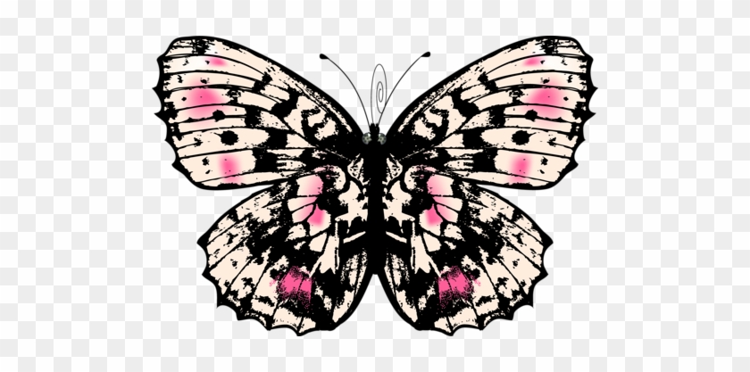 Kelebek Png Görselleri Butterfly Png - Schöner Entwurf Mit Schmetterlingen Und Blumen Kissen #1007394