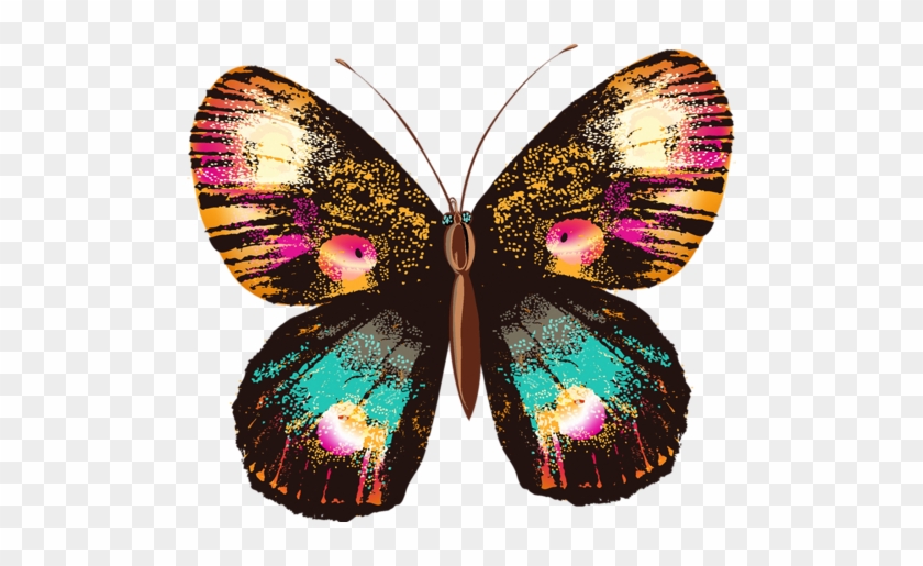 Png Kelebek Görselleri Butterfly Png - Kelebek Pngleri #1007395