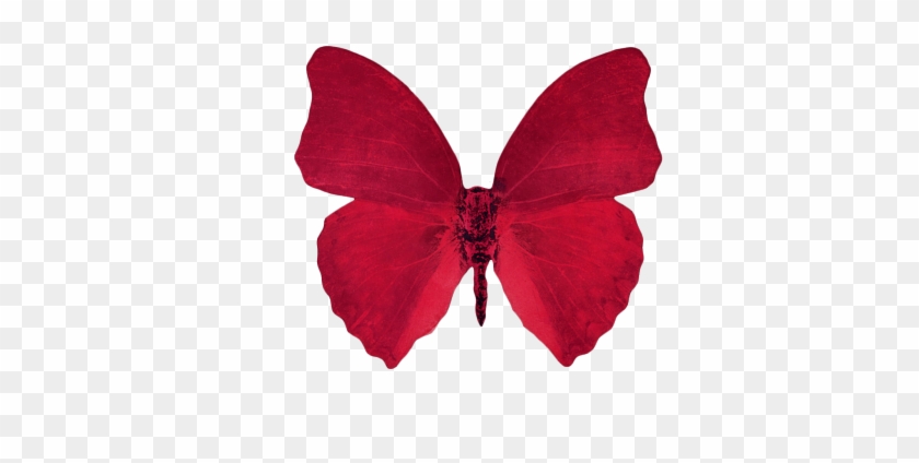 Butterfly Desktop Wallpaper Aesthetics Clip Art - Red Aesthetic Transparent Background #1007512