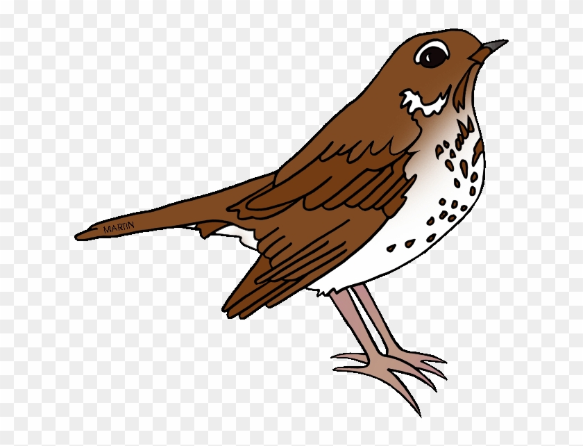 Thrush Bird Clipart - Clip Art Brown Bird #1007517