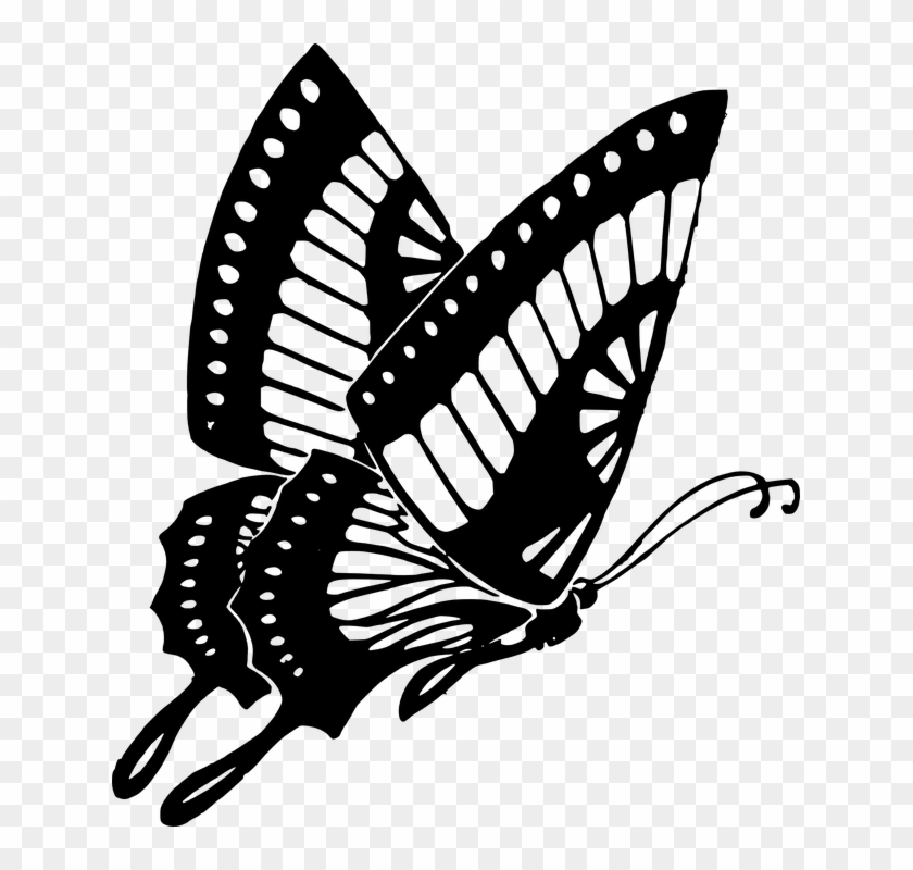 Butterfly Vector Art 14, Buy Clip Art - Butterfly Clipart Black And White #1007558
