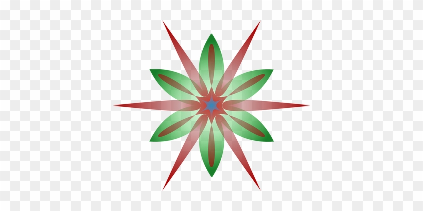 Starburst Flower Red And Green Decorative - ดาวกระจาย กราฟฟิก #1007631