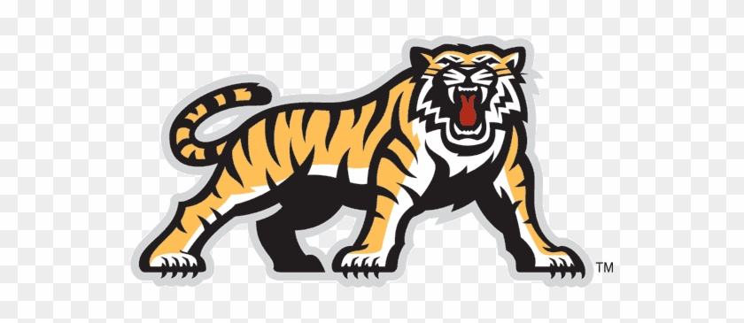 Rebranding My Old Middle School - Hamilton Tiger-cats #1007668