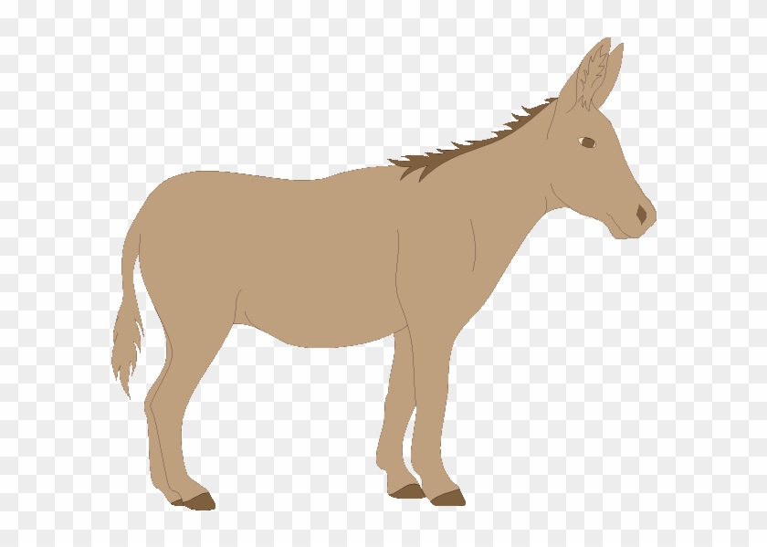 Mule Clip - Clipart Of A Mule #1007795