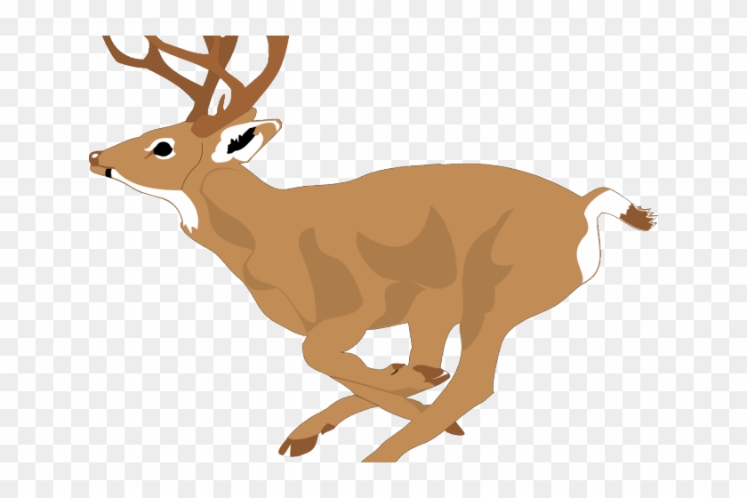 Dear Clipart Mule Deer - White Tailed Deer Clipart #1007808