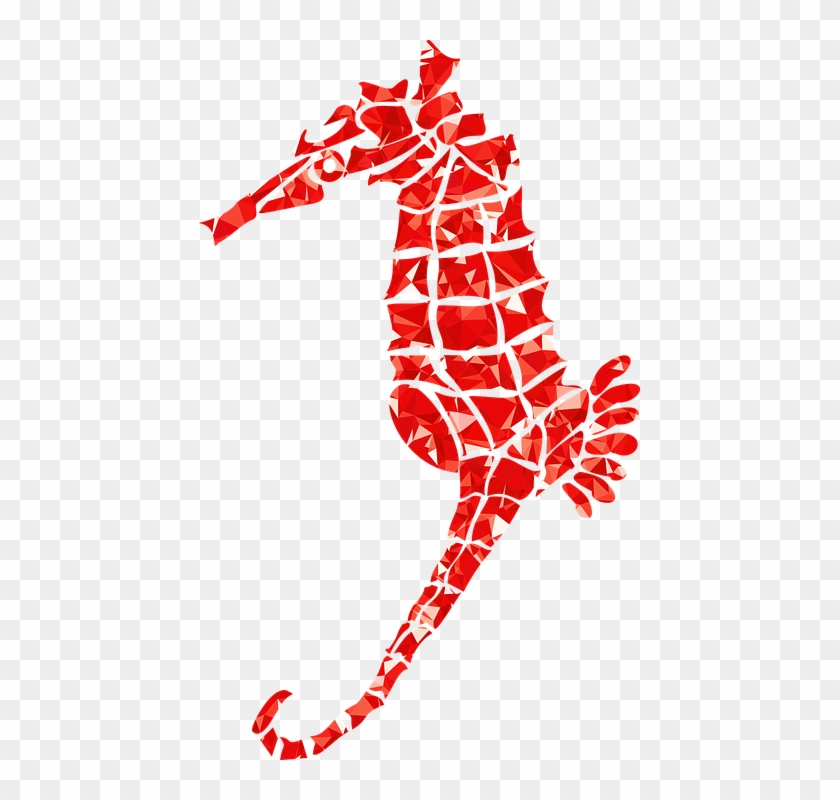 Seahorse Cliparts 13, Buy Clip Art - Vector Graphics #1007861