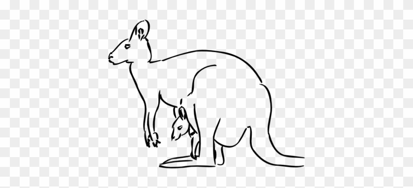 Kangaroo Clip Art Free Clipart Images - Kangaroo Black And White Clipart #1007869