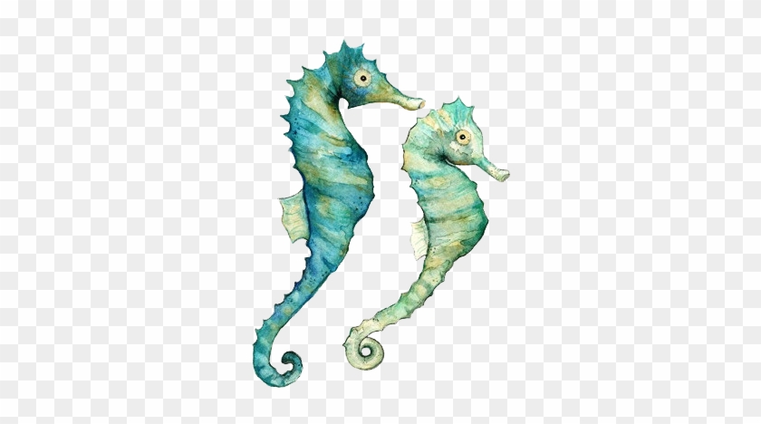 Seahorses - Watercolor Ocean Animals #1007872