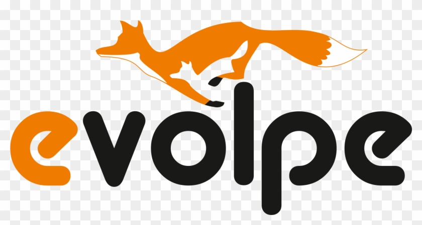 Evolpe Consulting Group - Evolpe #1007880