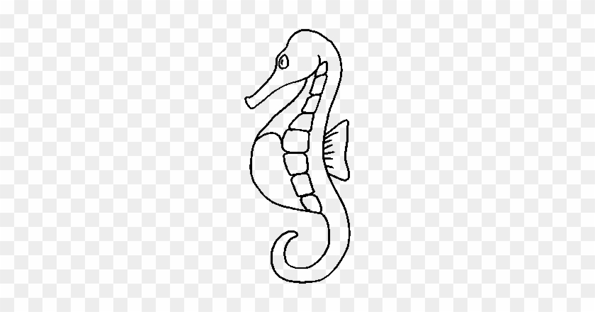 Sea - Horse - Clipart - Black - And - White - Ocean Animals Coloring Pages  - Free Transparent PNG Clipart Images Download