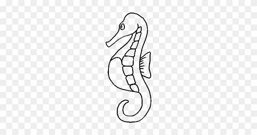 Sea - Horse - Clipart - Black - And - White - Ocean Animals Coloring Pages #1007896