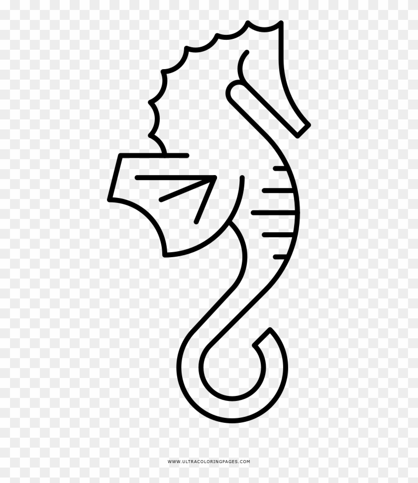 Seahorse Coloring Page - Seahorse Icon #1007899