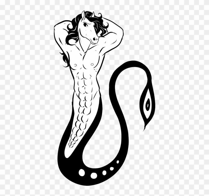 Seahorse Black And White Cliparts - Seahorse Muscle #1007901