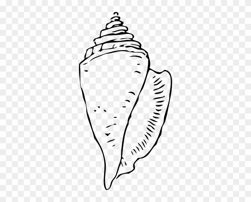 Sea Shells Clip Art At Clipart Library - Caracol De Mar Para Colorear #1007921