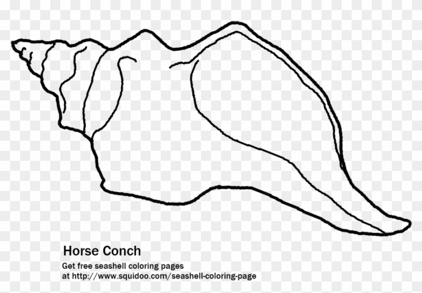 The Florida Horse Conch Printable Coloring Page - Seashells To Color #1007929