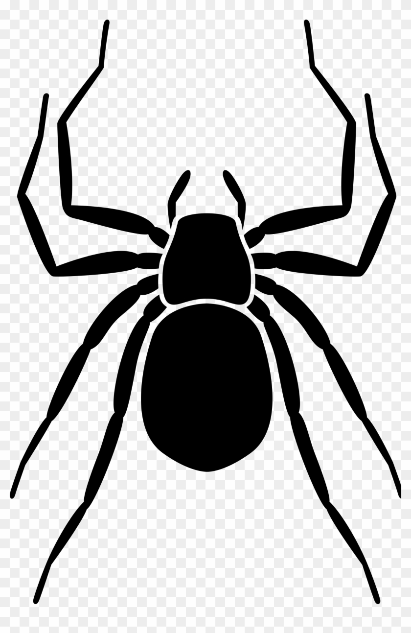 Spider Clipart Black And White Free Clipart Images - Black Women Hoodies & Sweatshirts #1007951