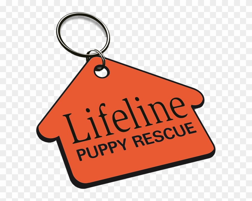 Lifeline Puppy Rescue #1008069
