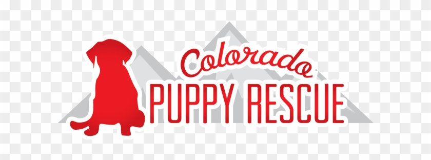Colorado Puppy Rescue - Colorado Puppy Rescue #1008083