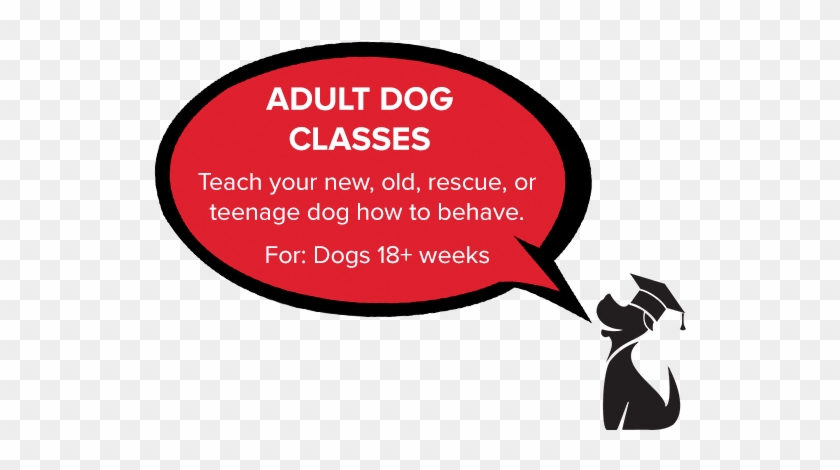 Best Puppy Training Class And Dog Training Class In - Best Puppy Training Class And Dog Training Class In #1008090