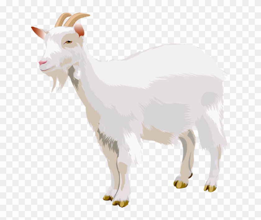 Goat Png - Goat Png Clipart #1008167