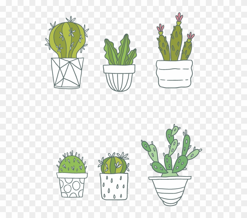 Cactaceae Succulent Plant Clip Art - Wall Stickers Cactus Plant Photo Frame Vinyl Wall Stickers #1008186