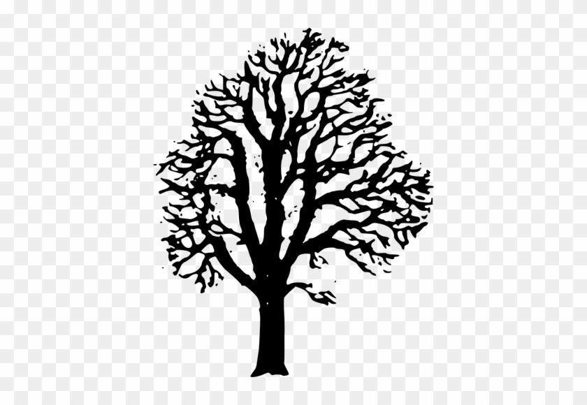 Transparent Black And White Tree Clipart - Chestnut Tree Black And White #1008208