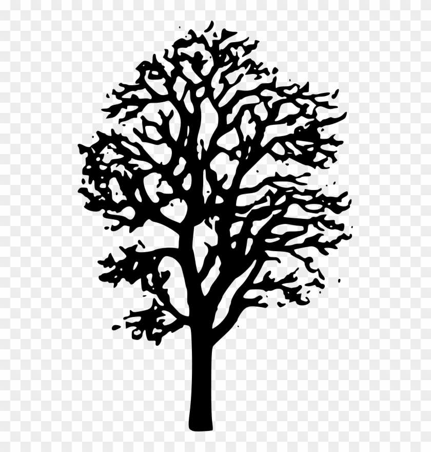 Maple Tree Clipart Black And White - Maple Tree Clip Art #1008219