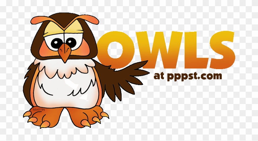 Owls Illustration - Owl Powerpoint #1008262