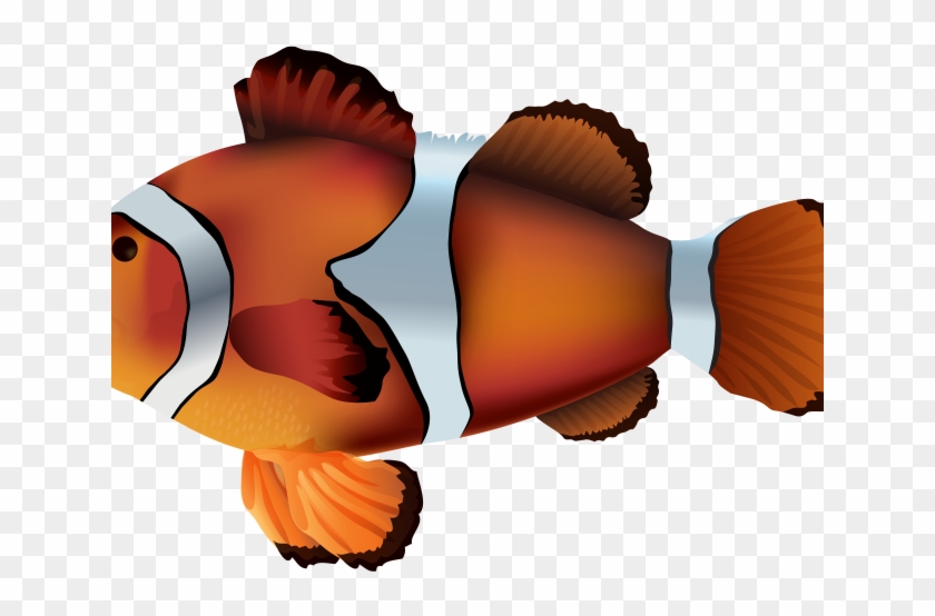 Clownfish Clipart Onyx - Clip Art #1008357