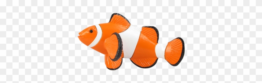 Clownfish - Garibaldi (fish) #1008359