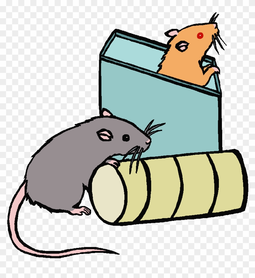 Mouse Rat Clipart Image - Rats In A Cage Clipart #1008491