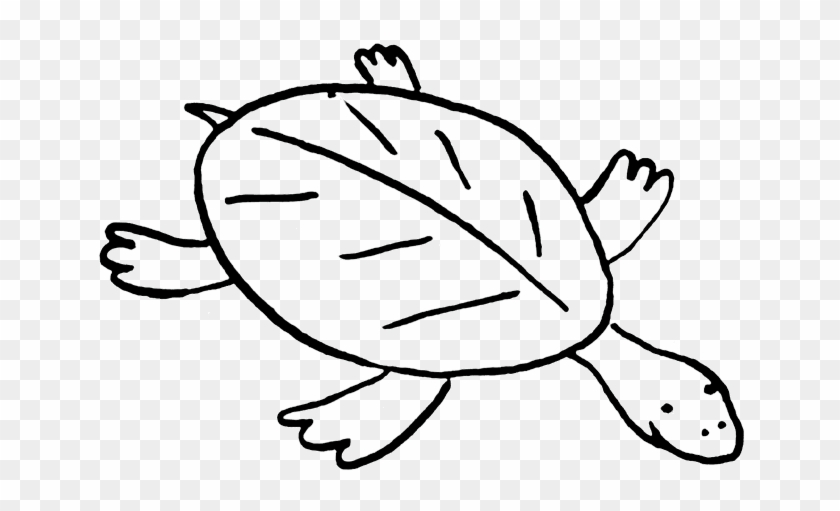 Clip Art Turtle - Long Neck Turtle Clipart #1008627