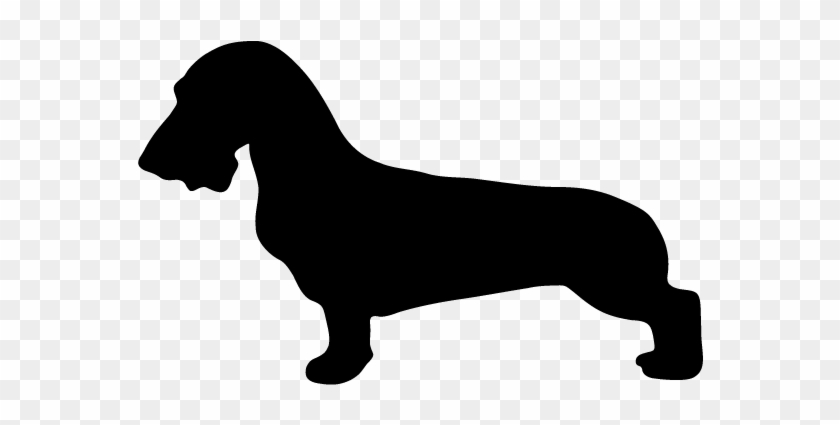 Dog Silhouettes - Dachshund #1008672