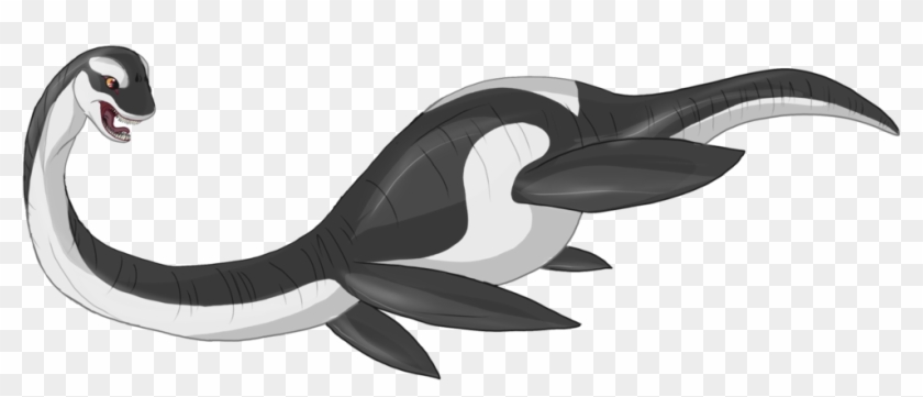 Elasmo Plesio By Bijutsuyoukai - Killer Whale #1008694