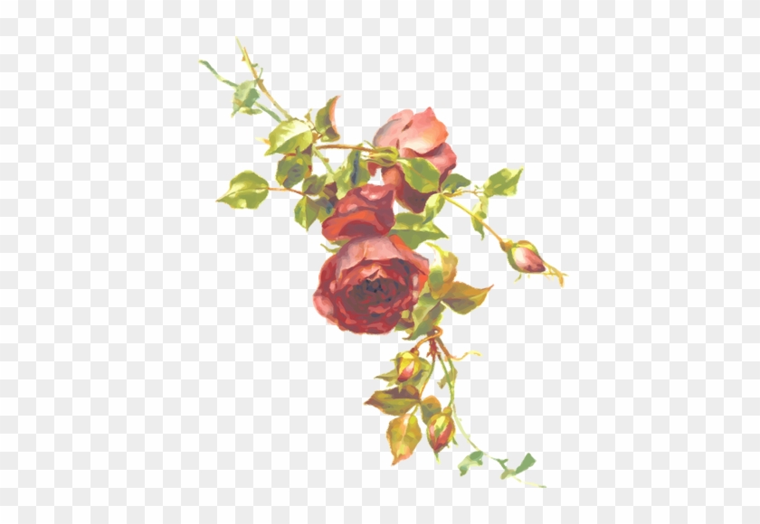 Red Roses On A Branch - Clipart Roses #1008770