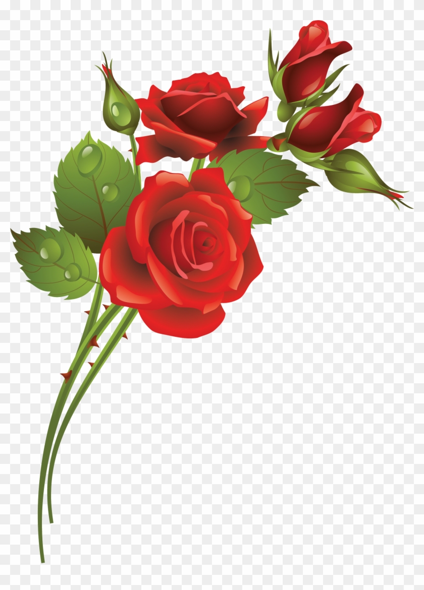 Garden Roses Flower Clip Art - Rose Frame #1008818