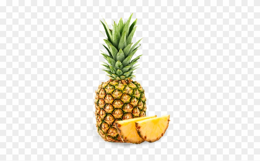 Pineapple Fruit - Pine Apple White Background #1009002