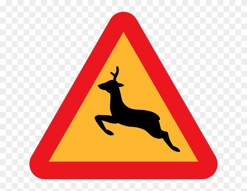 Street Sign, Deer, Signs, Transportation, Road, Street - Deer Road Sign #1009040