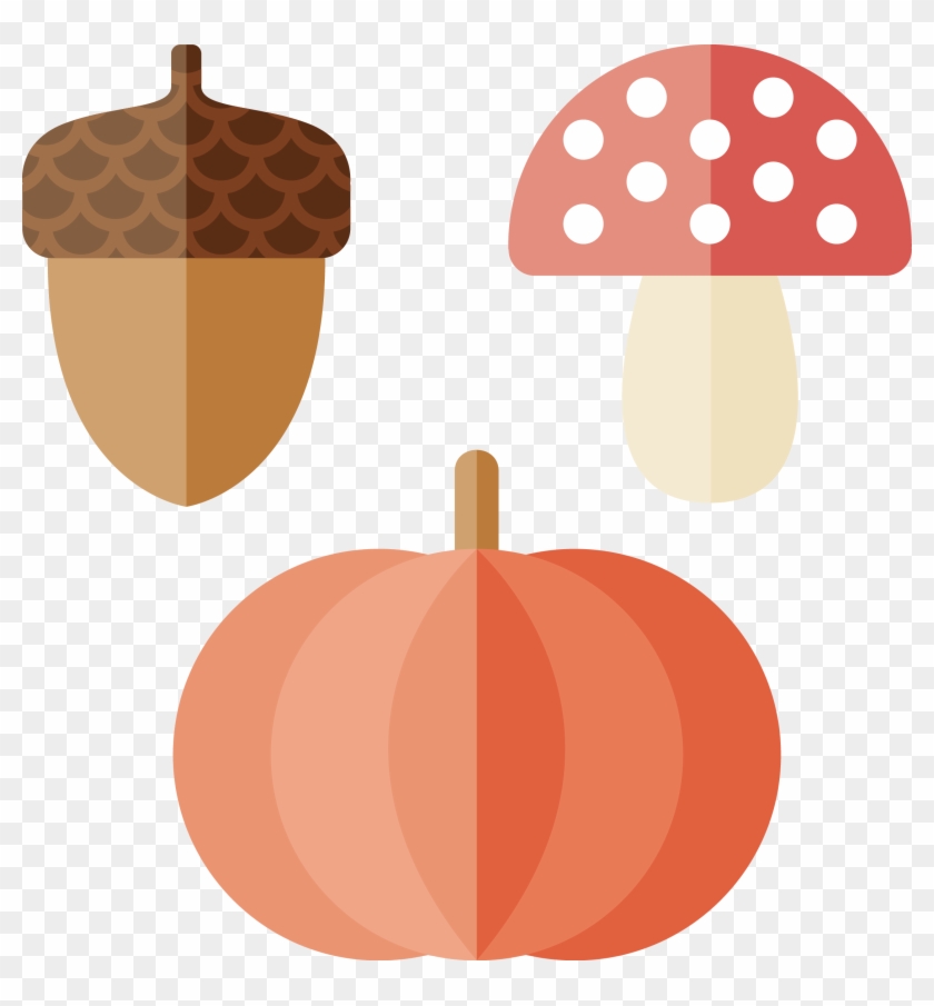 Nut Euclidean Vector - Nut Euclidean Vector #1009058