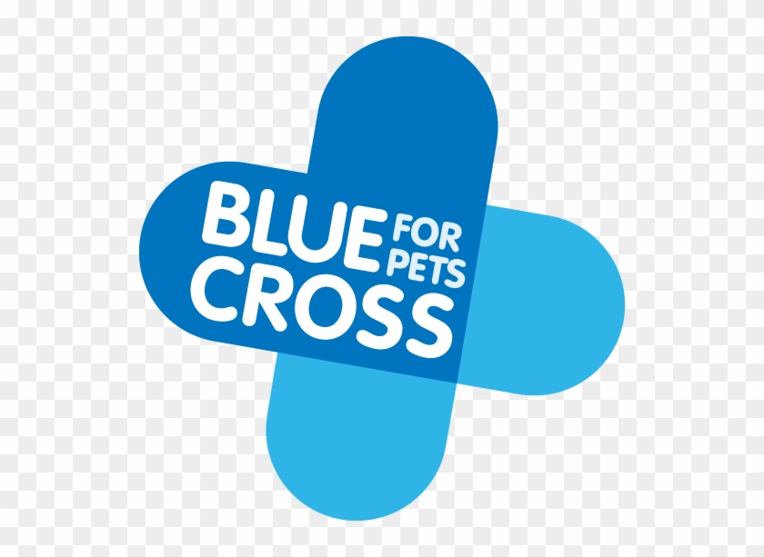 Blue Cross - Blue Cross For Pets #1009204
