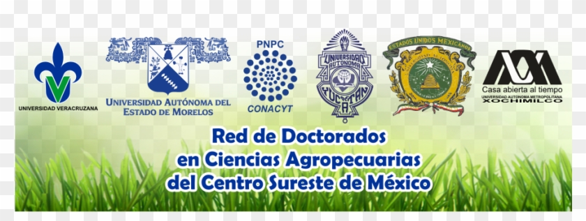 Red De Doctorados En Ciencias Agropecuarias Del Centro - Universidad Autónoma Del Estado De México #1009547