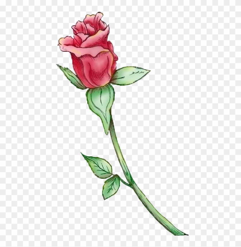 Painted Rose Bud Painted Rose Bud - Rose #1009739