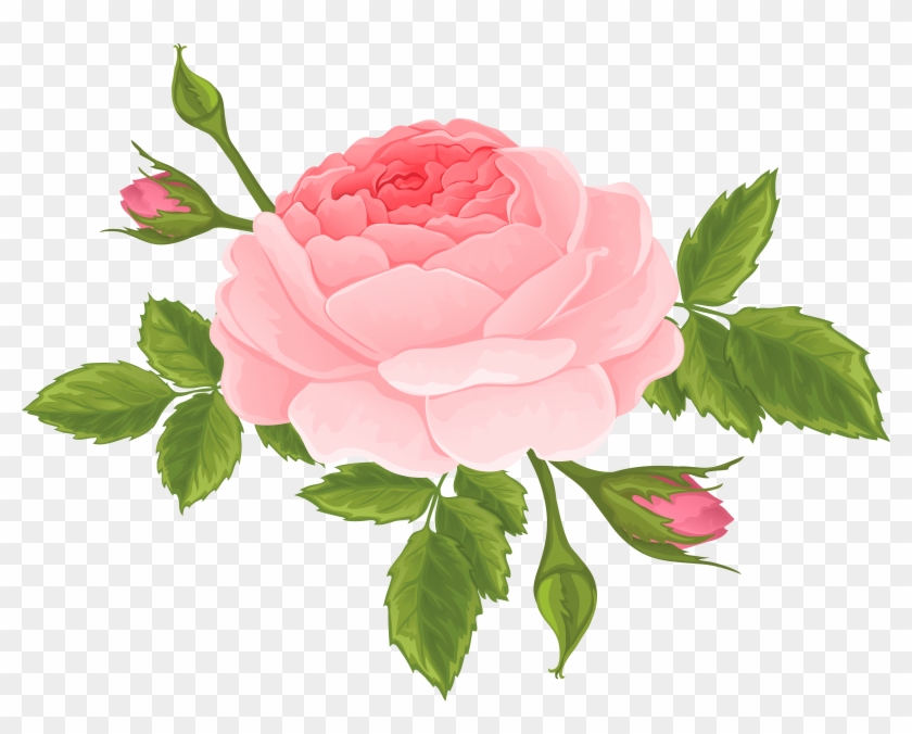 Pink Rose Buds And Petals Royalty Free Vector Clip - Pink Rose Buds And Petals Royalty Free Vector Clip #1009760