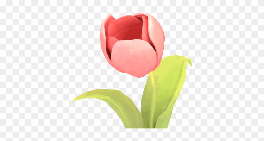 Flomp - Flower #1009806