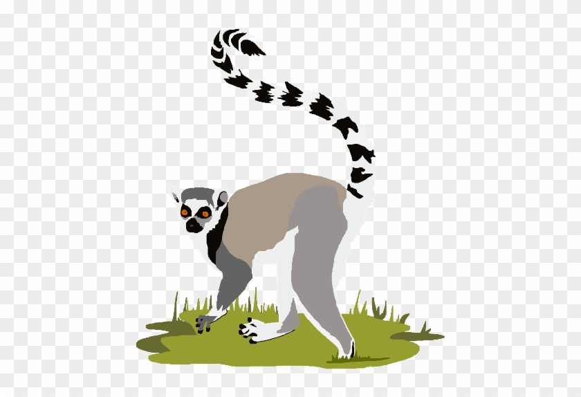 Lemur Clipart Ring Tail - Ring Tailed Lemur Clipart #1009956