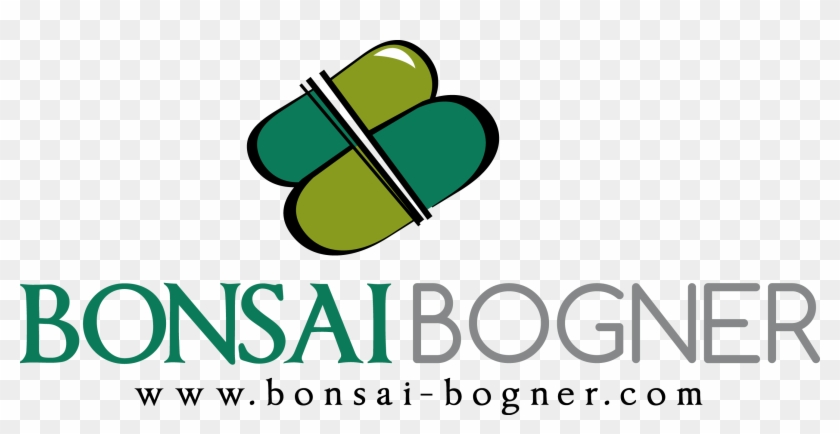 Bonsai Gerald Bogner #1009966