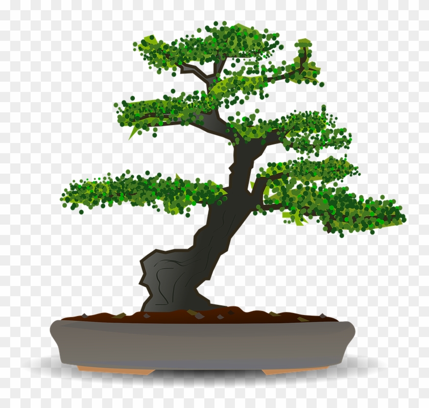 Bonsai Tree Clipart 10, Buy Clip Art - Bonsai Png #1009978